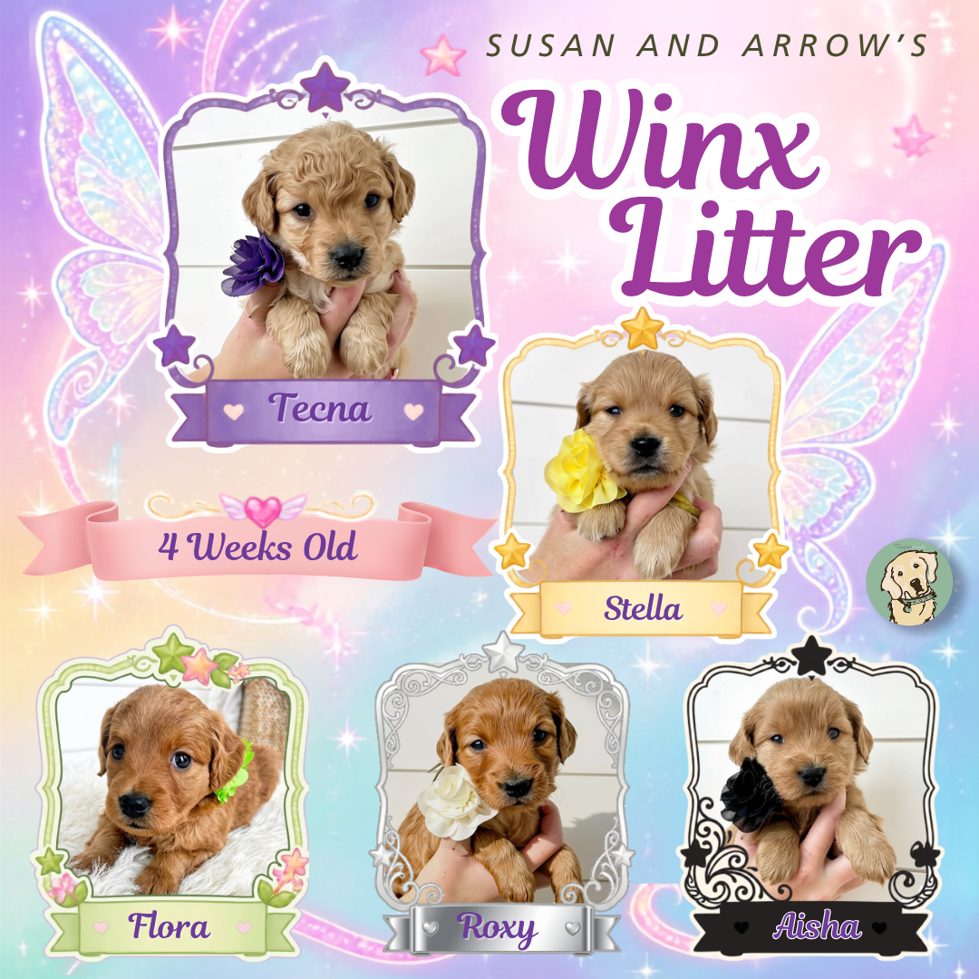Susan and Arrow Week 4.png