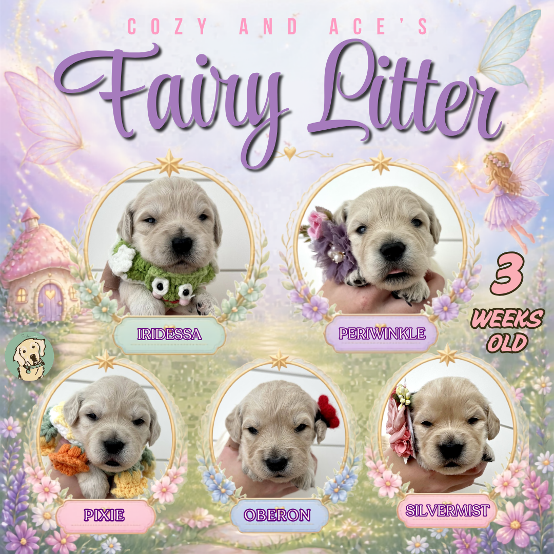 Cozy and Ace week 3.png