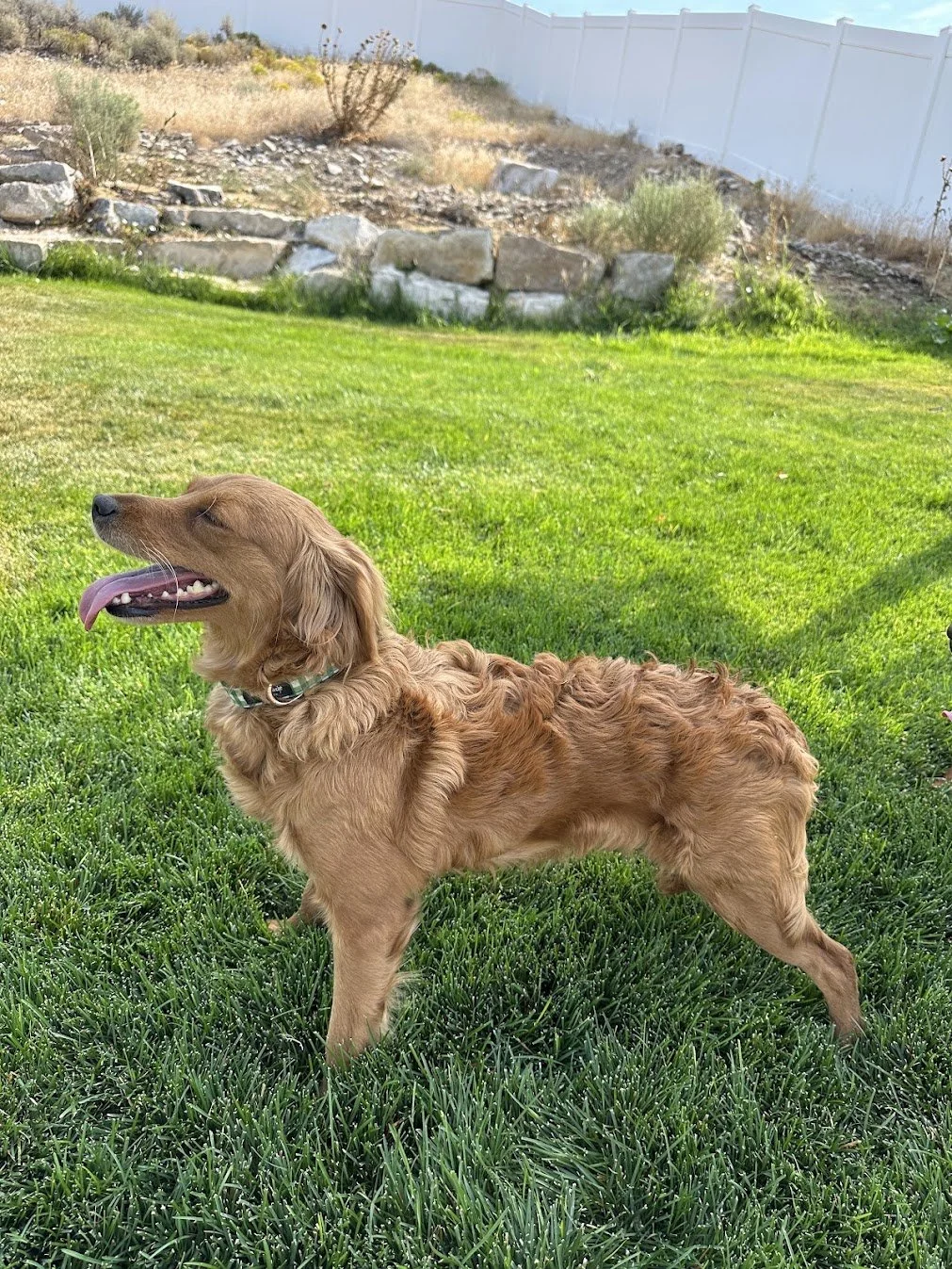 Susie so Regal.jpg