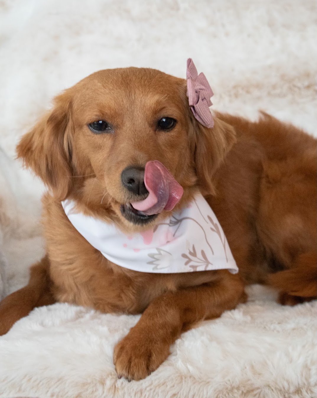 Susie lip lick.jpg