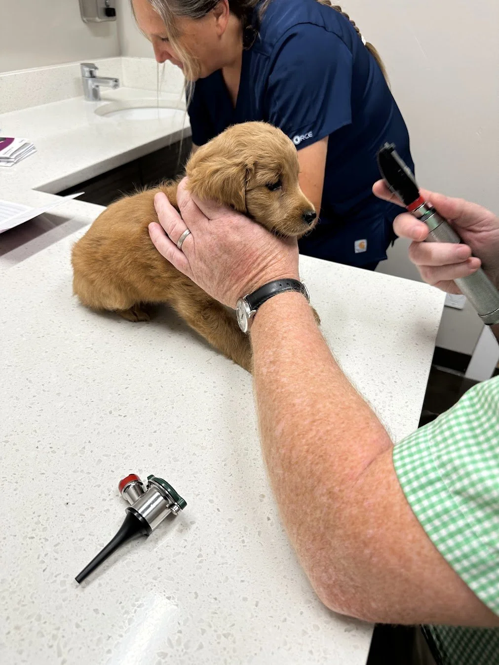 Susie's first vet check.jpg