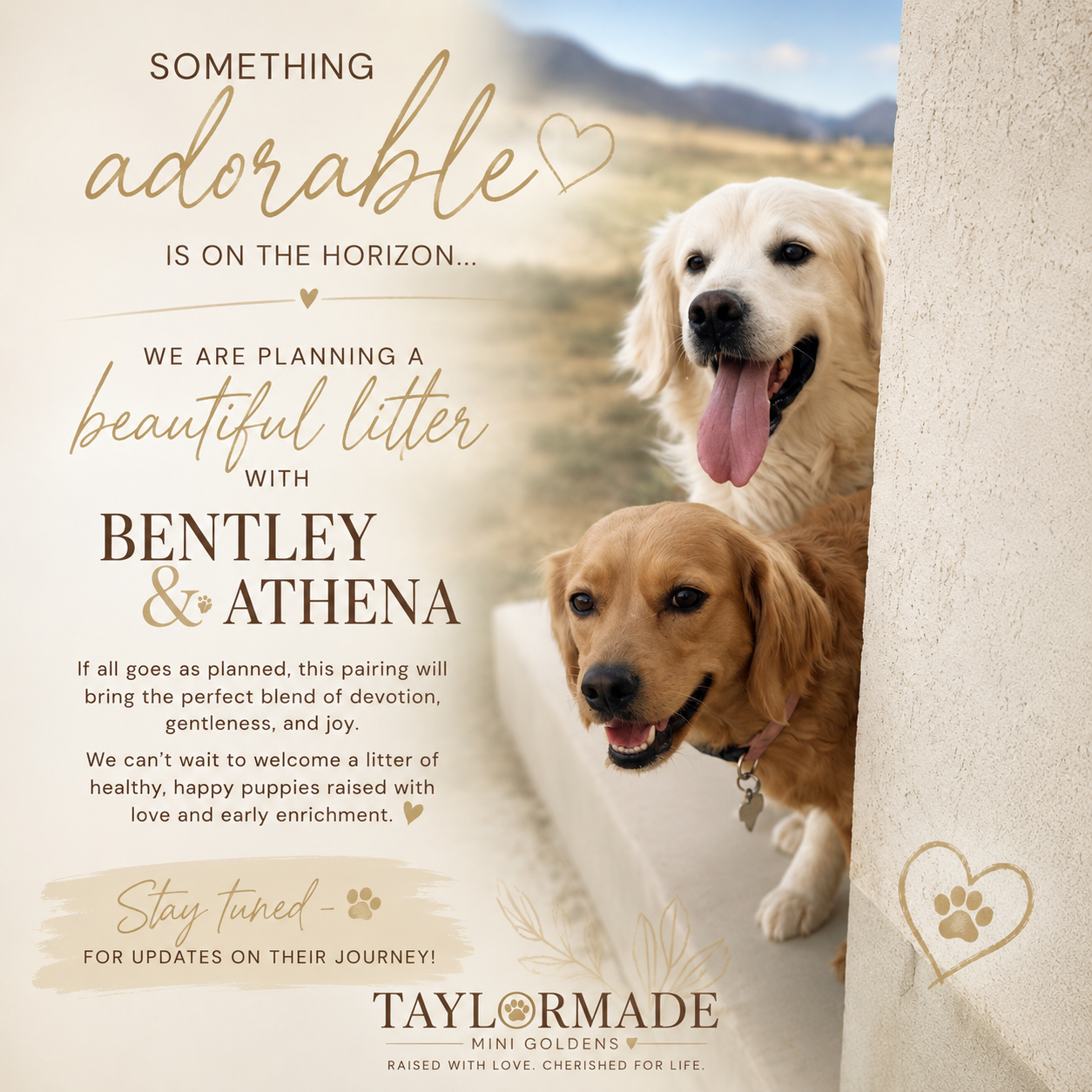 Athena & Bentley.png