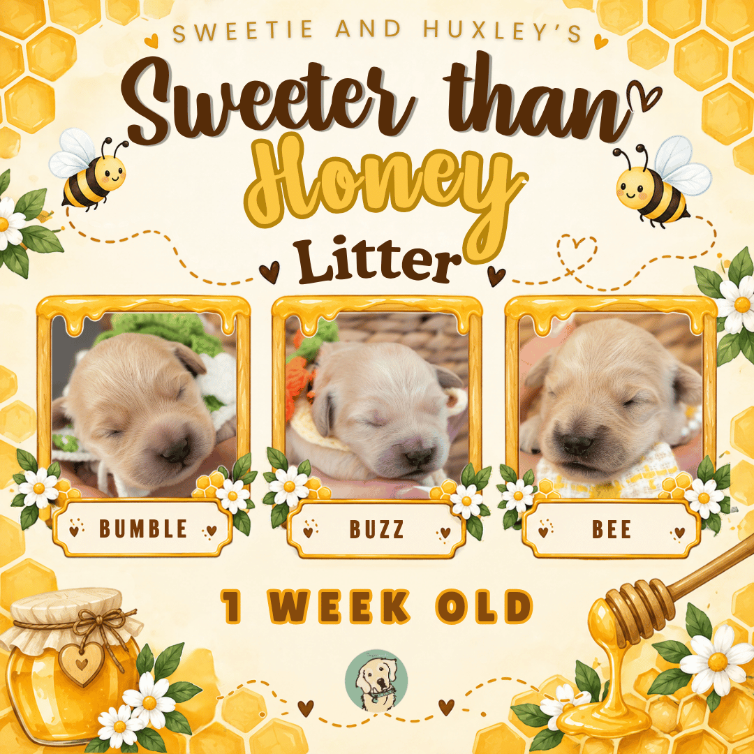Sweetie and Huxley Week 1.png