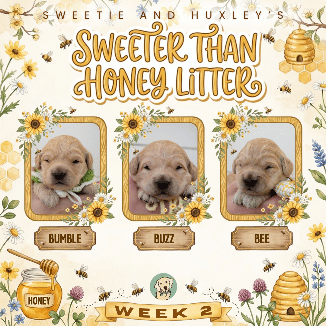 Sweetie and Huxley Week 2.png