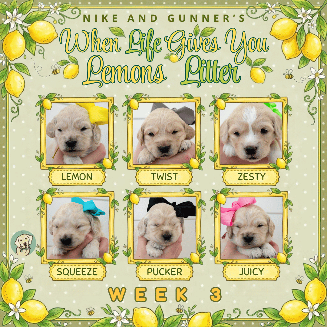 Nike and Gunner Week 3.png