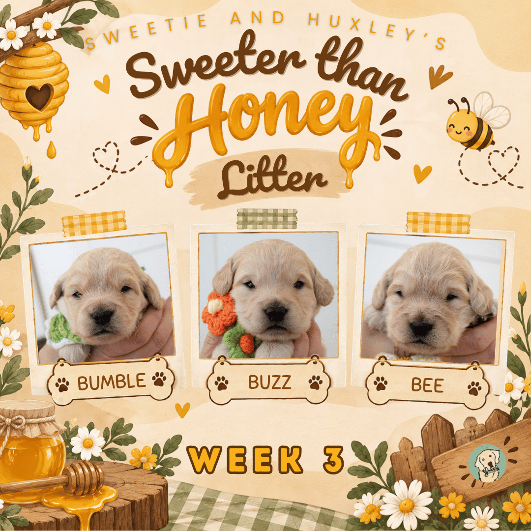 Sweetie and Huxley Week 3.png
