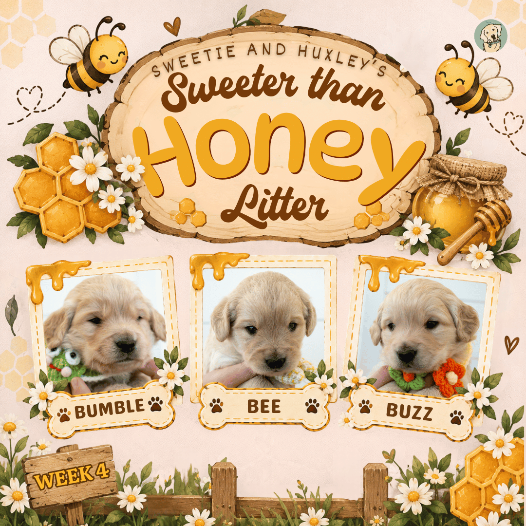 Sweetie and Huxley Week 4.png