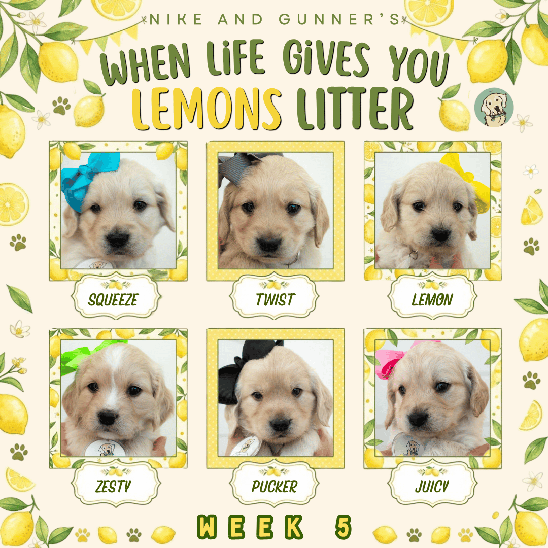 Nike and Gunner Week 5.png