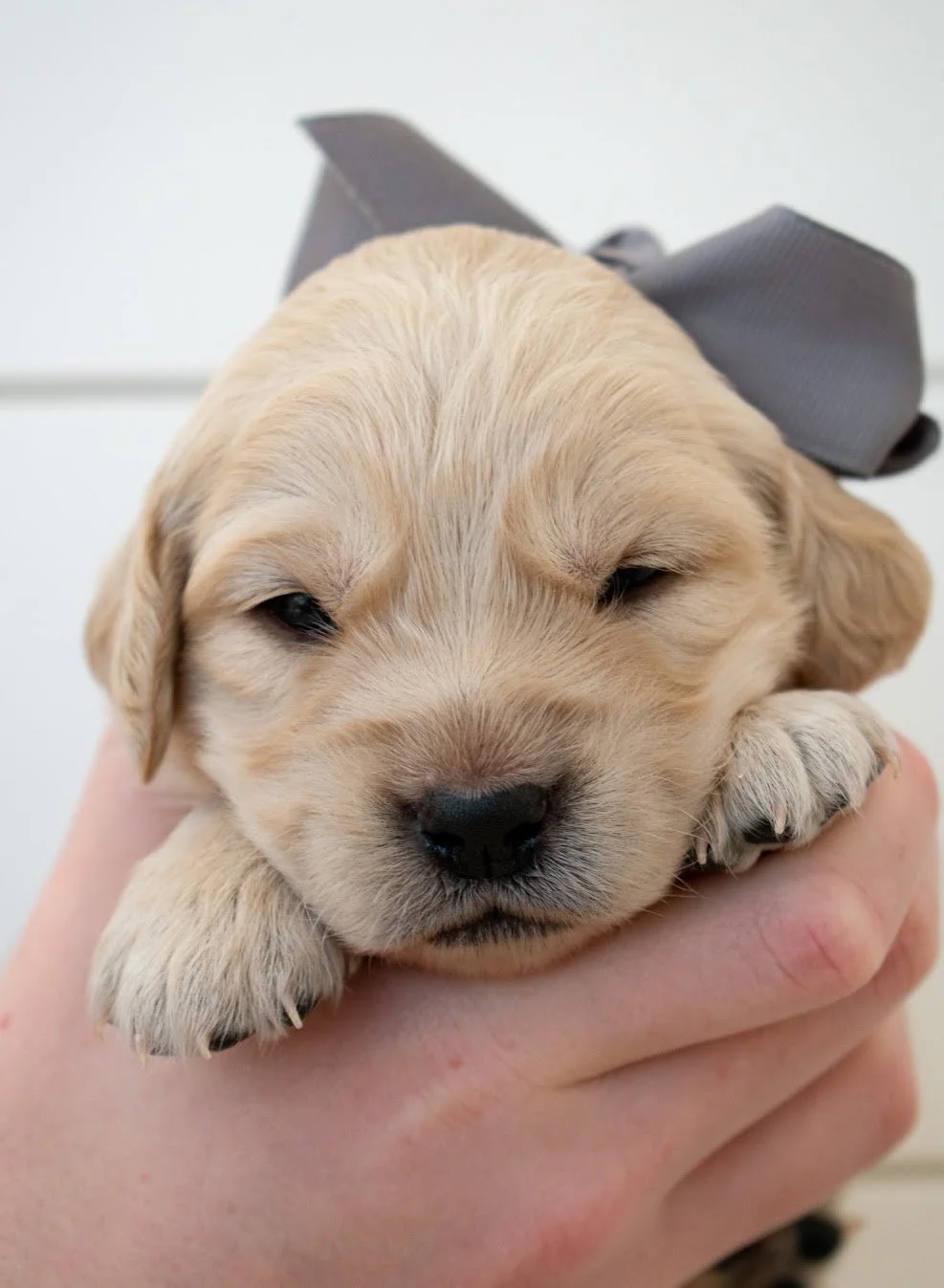 Twist 3 weeks old.jpg