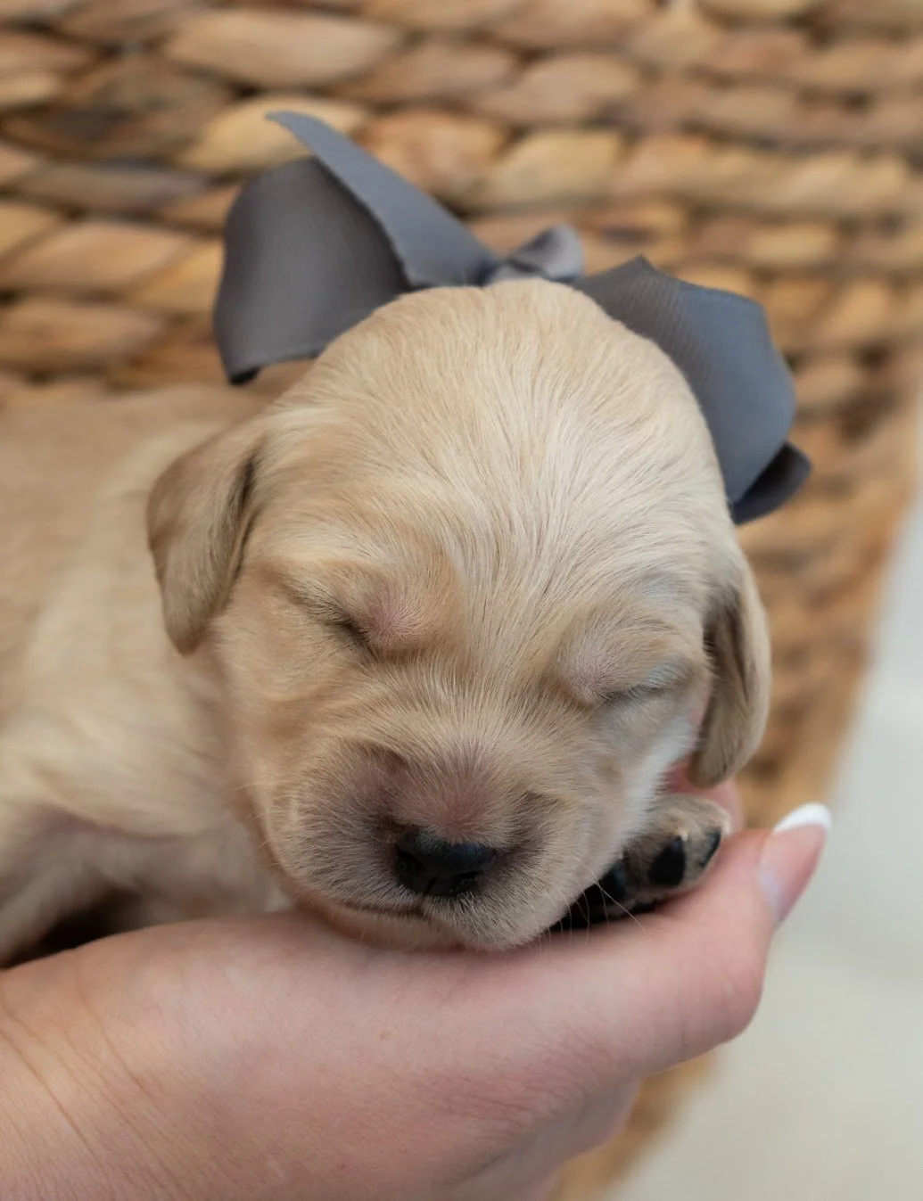 Twist 2 weeks old.jpg
