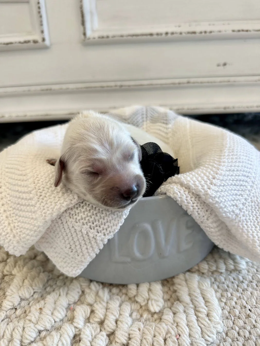 Knight newborn.jpg