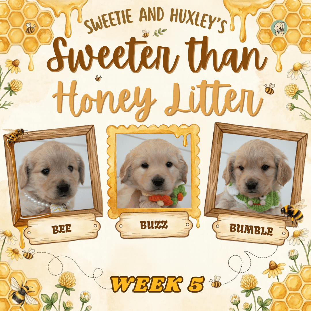 Sweetie and Huxley Week 5.png