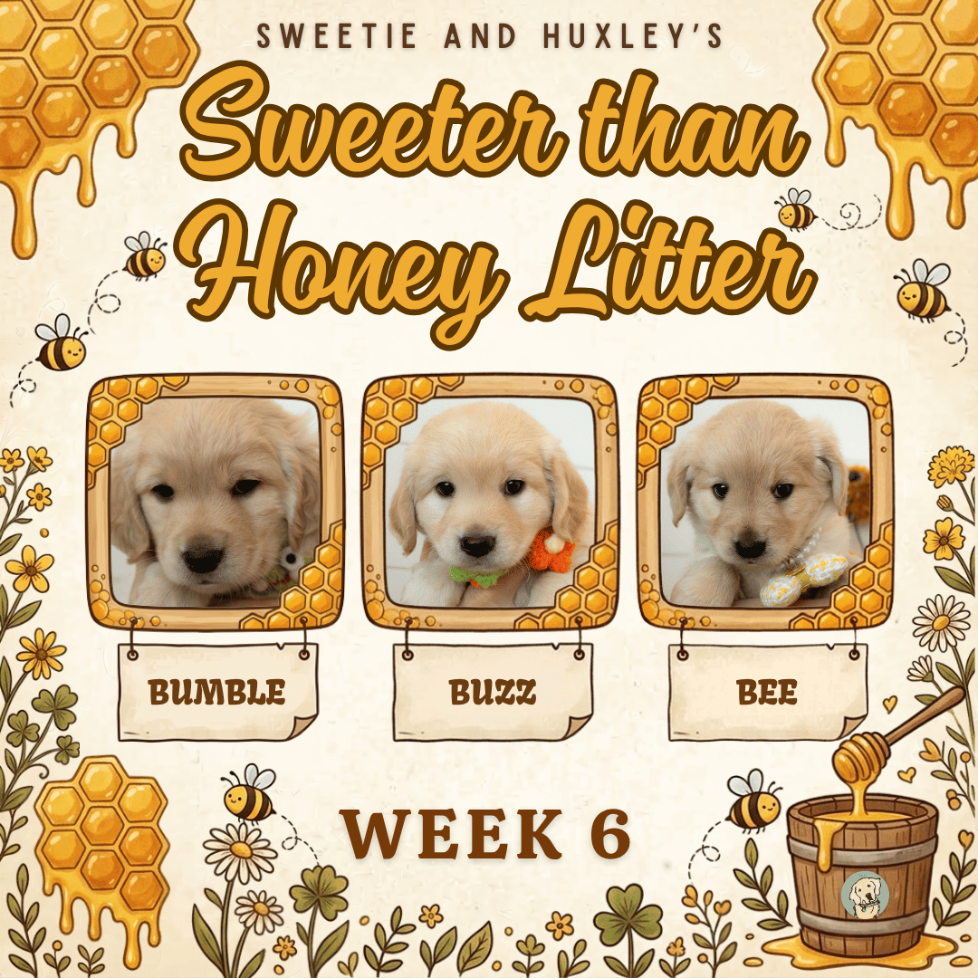 Sweetie and Huxley Week 6.png