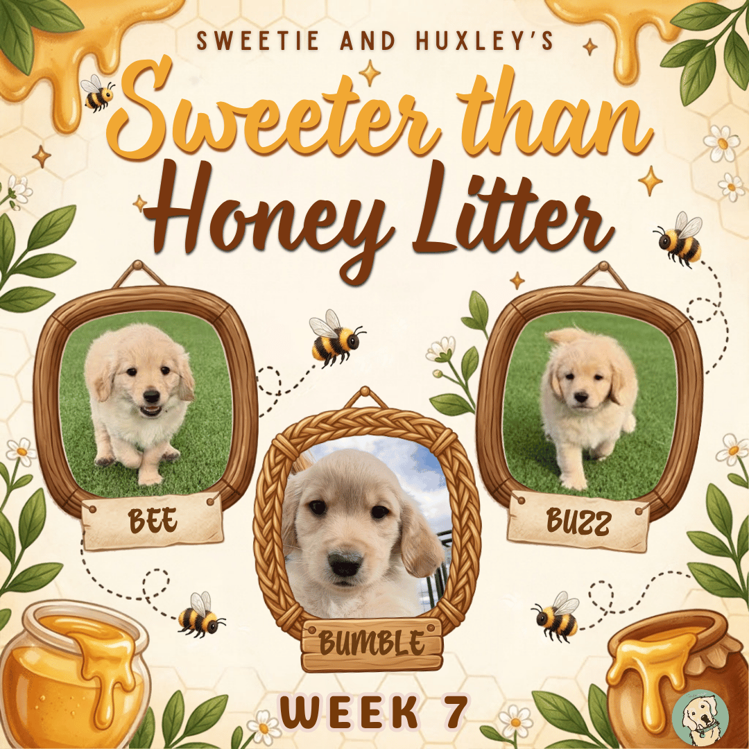 Sweetie and Huxley Week 7new.png
