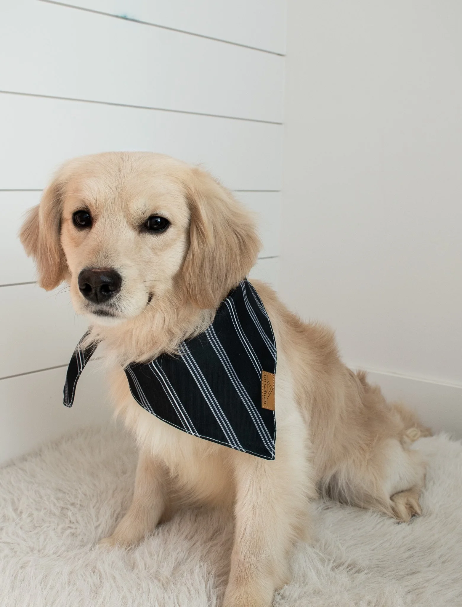 Taylormade Mini Golden Daddy