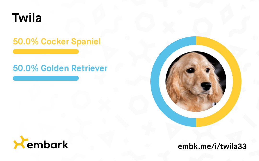Twila Embark Breed