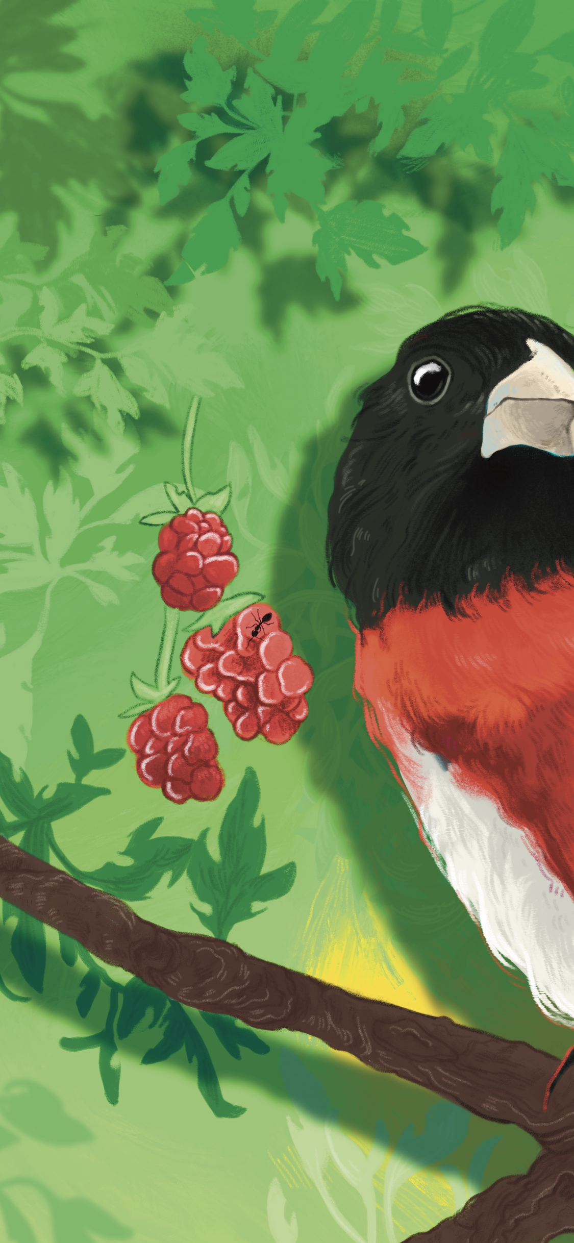 C6C67336-8056-449E-B492-DF1330C8A841