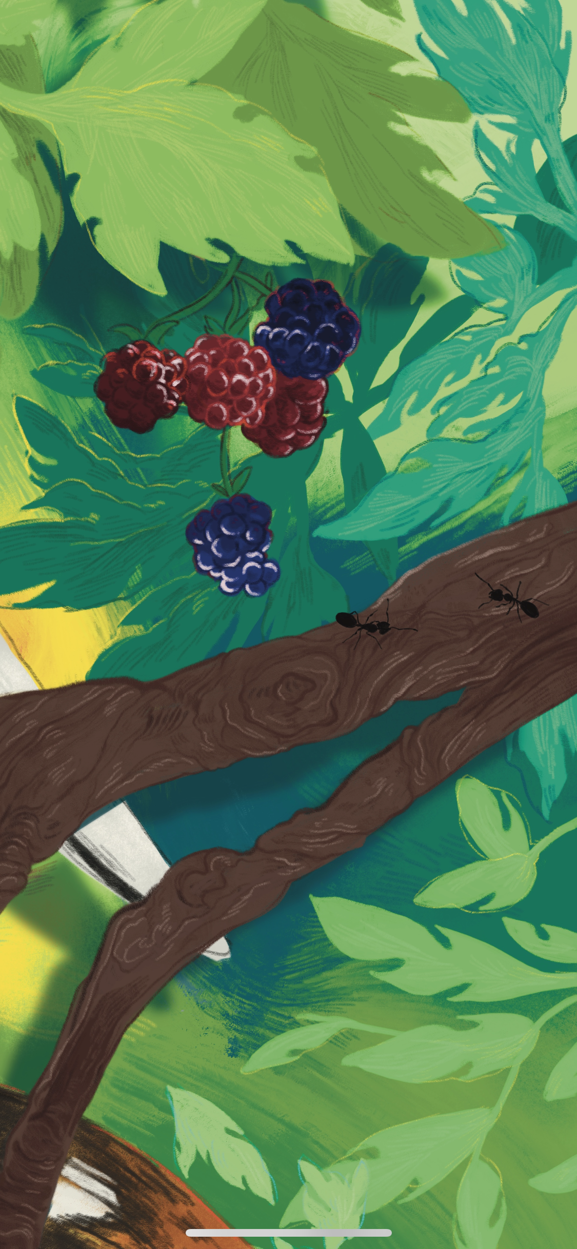 206CD80A-34D9-4C7E-9FE2-4E67DC111C00