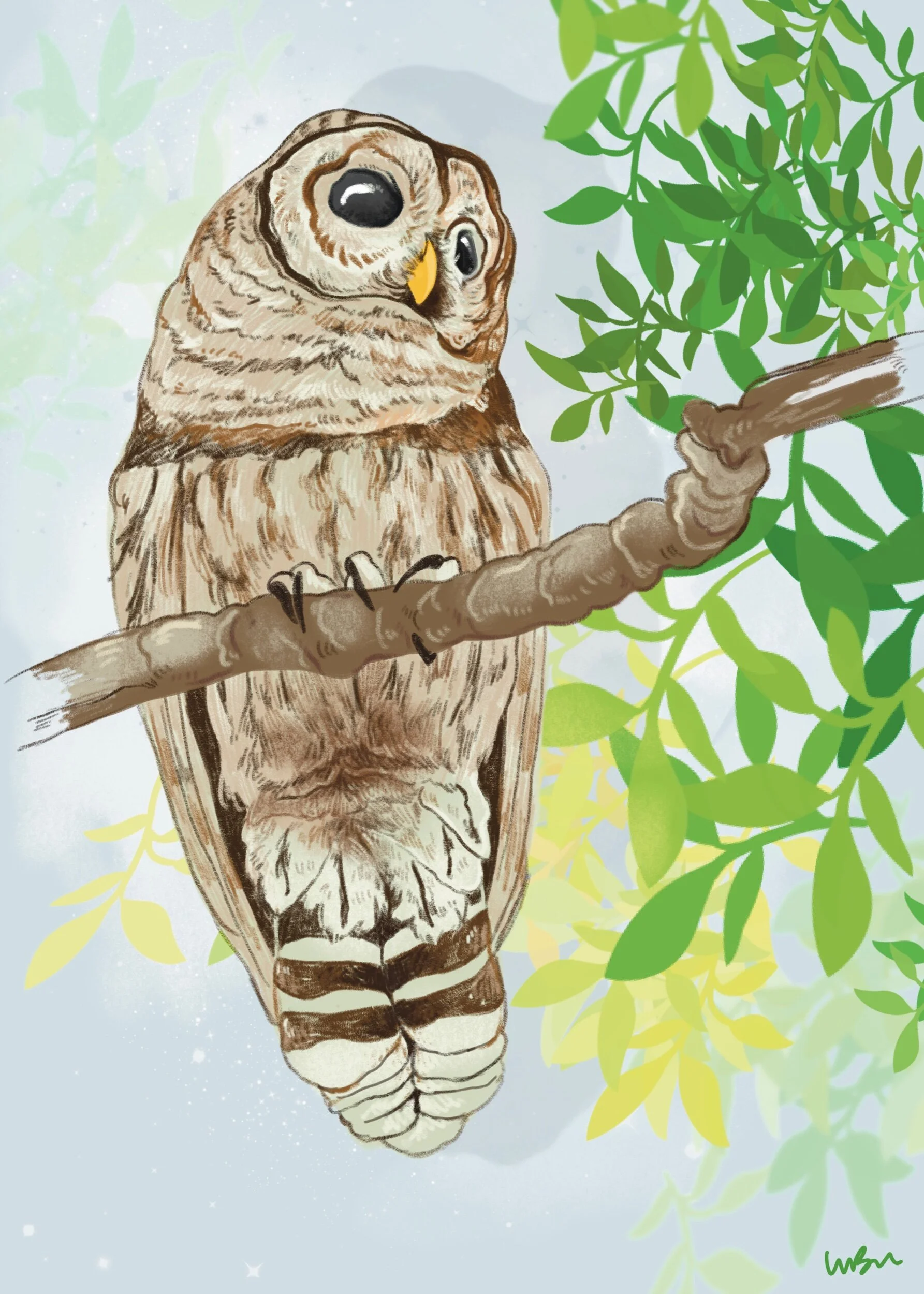 509D7255-5317-4DFB-A057-EA5A5A221980