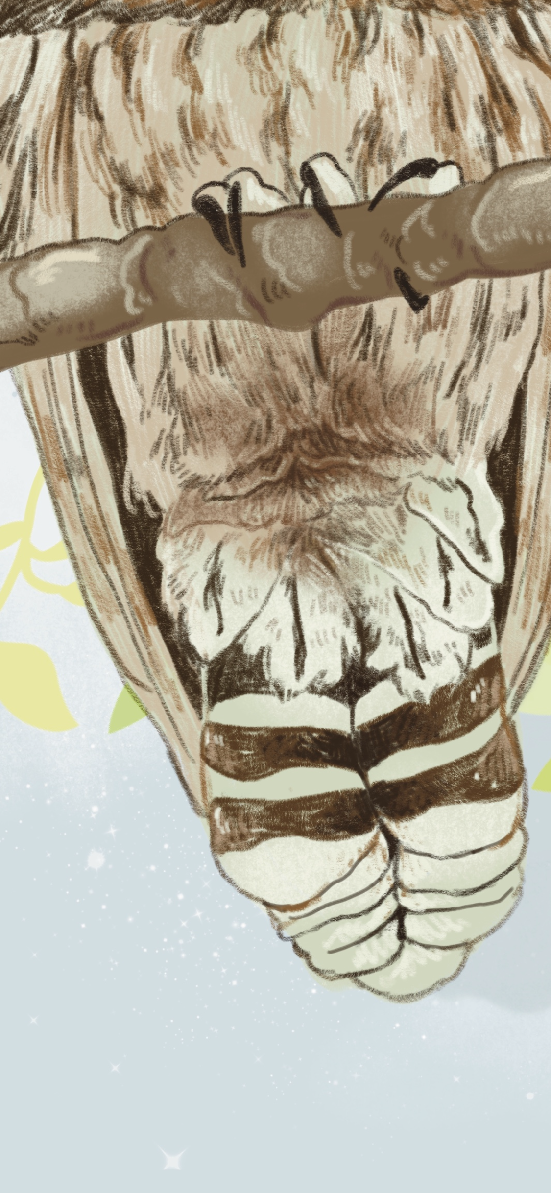 736DA865-4436-4DDA-B7FC-61F2874C31D2