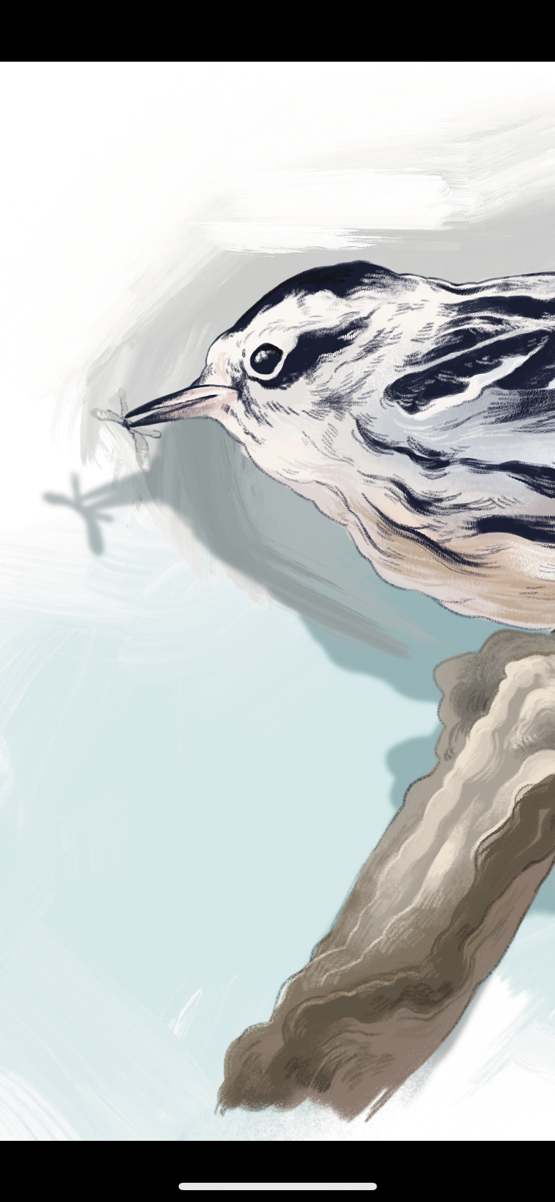 746C82E7-D5AF-4732-9D33-4BB915A52425