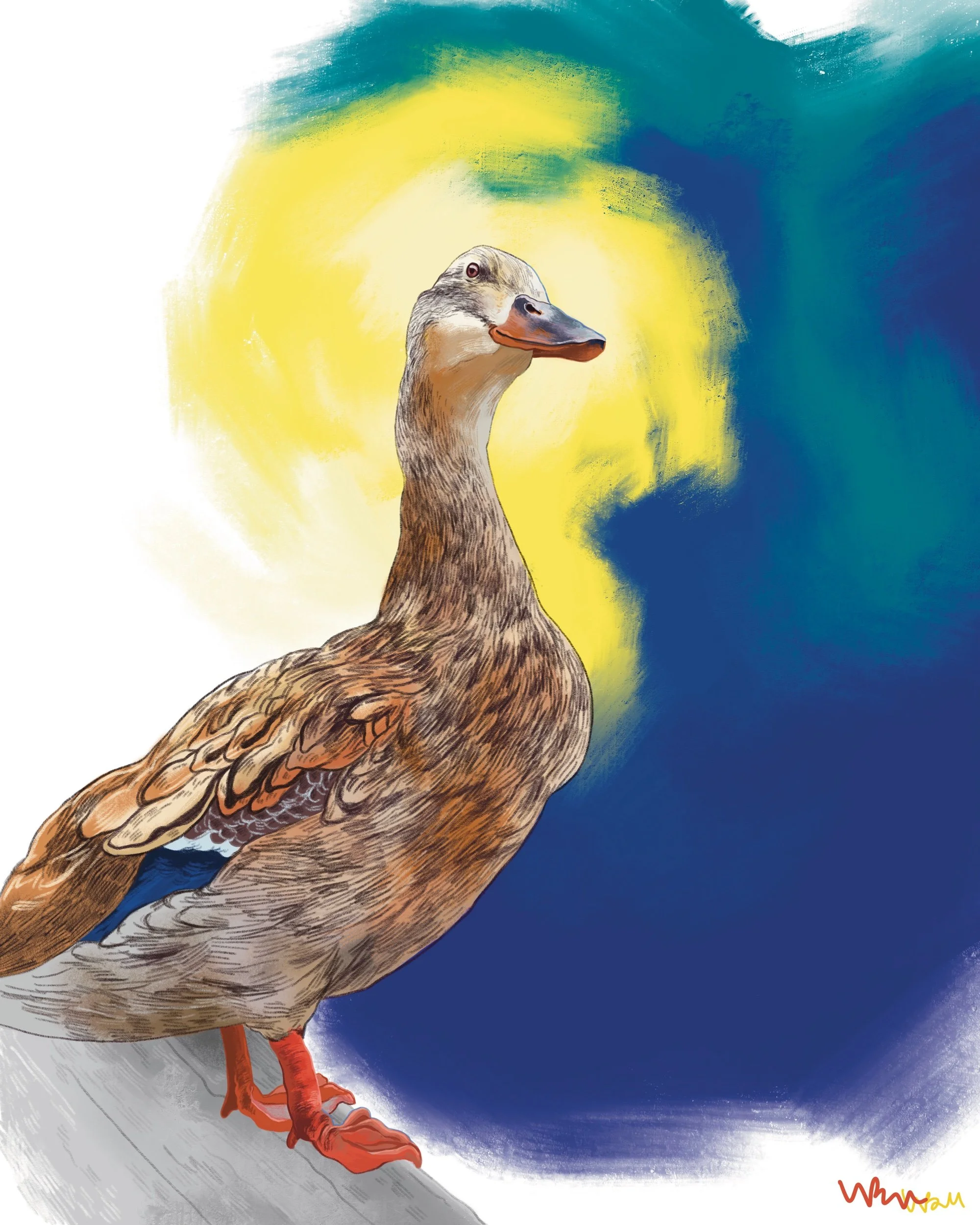 Mallard Portrait (female)