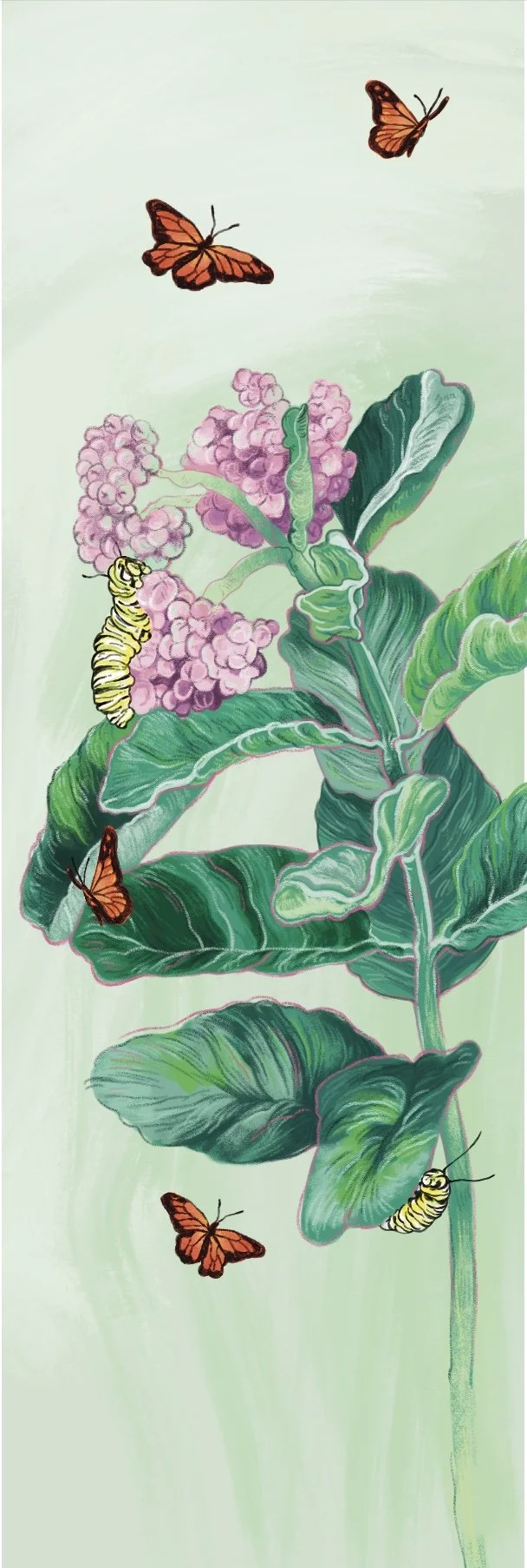 "Milkweed and Monarchs" 2022