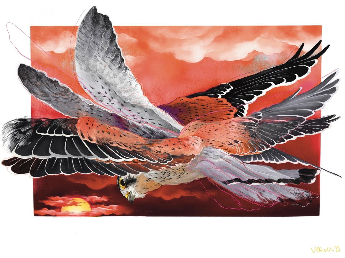 &ldquo;Stabilization&rdquo; 24&rsquo;&rsquo;x36&rsquo;&rsquo; 2024

The American kestrel is the only bird of prey able to hover in the air. They use this stabilization technique to hunt. Kestrels hover and maneuver on the wind - using their body, win