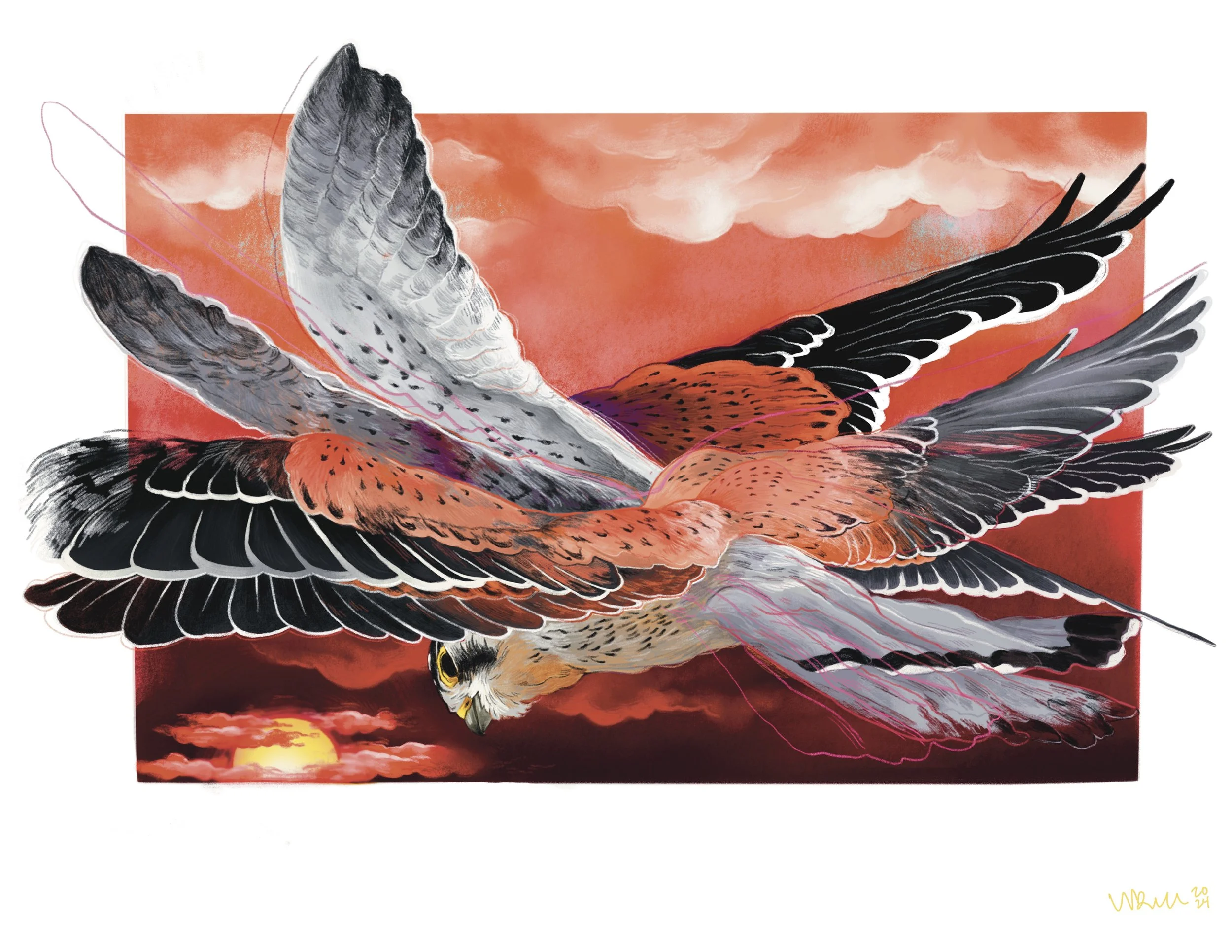 “Stabilization” 2024 