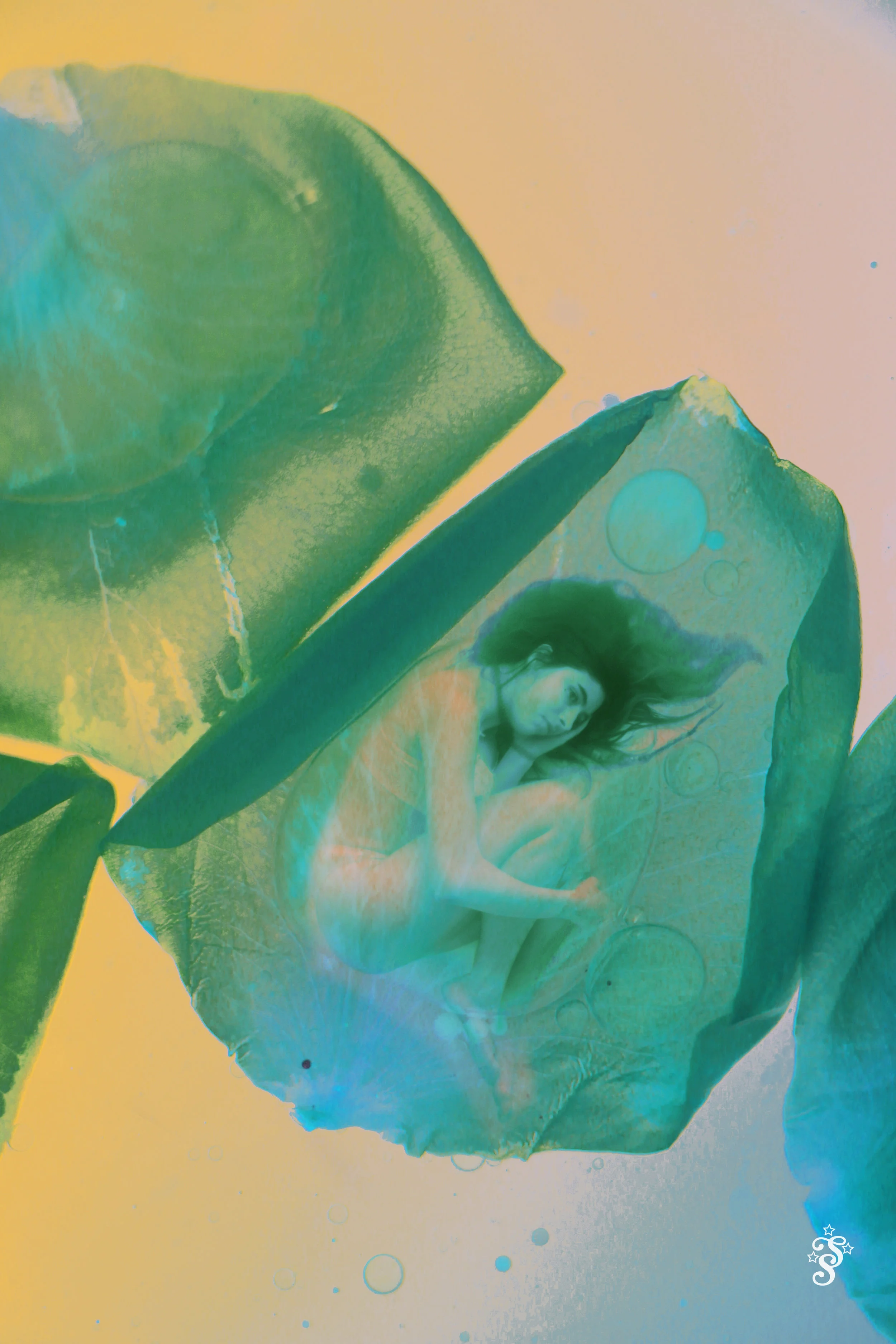 emily-fetal-flower.1.jpg