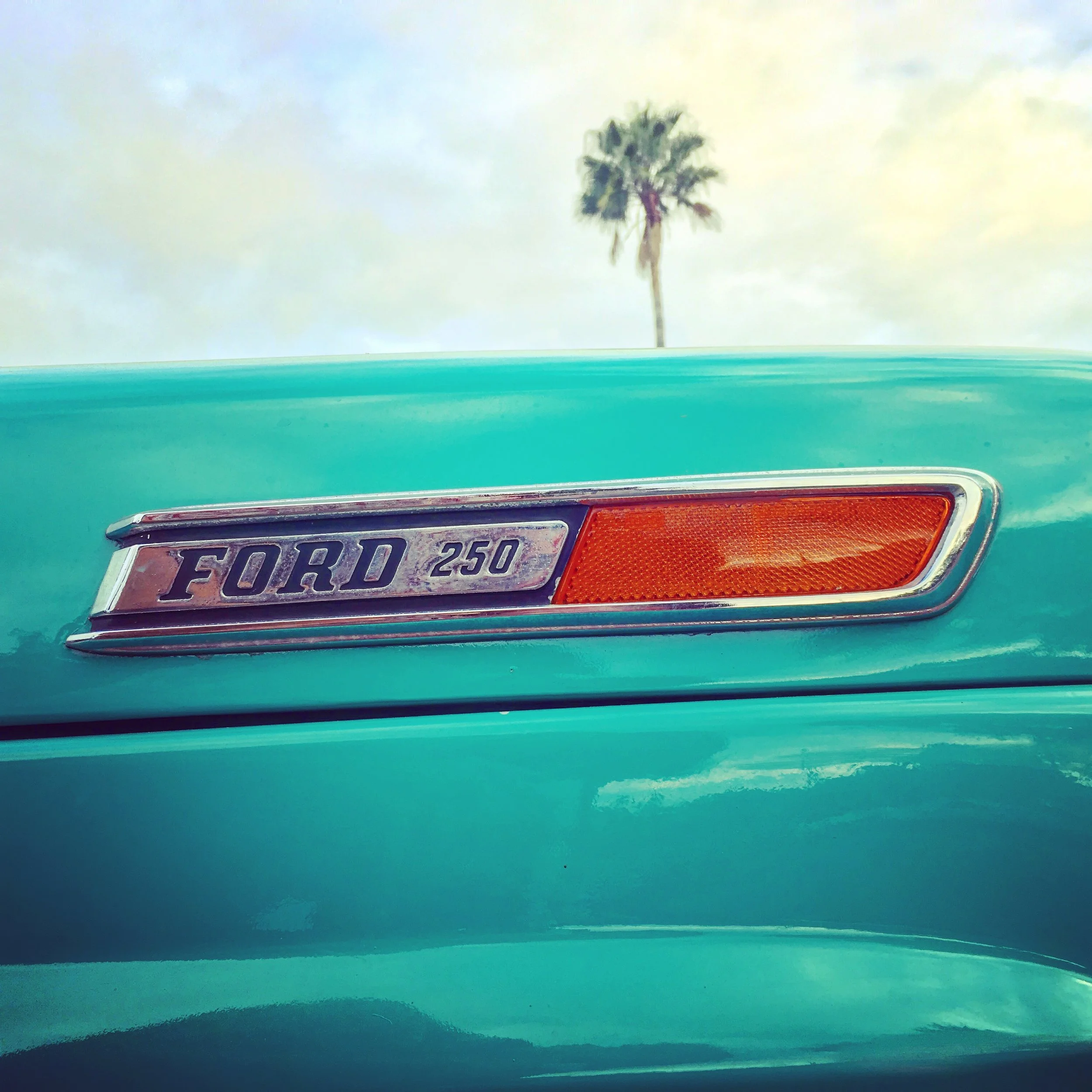 Ford250PalmTree.JPG