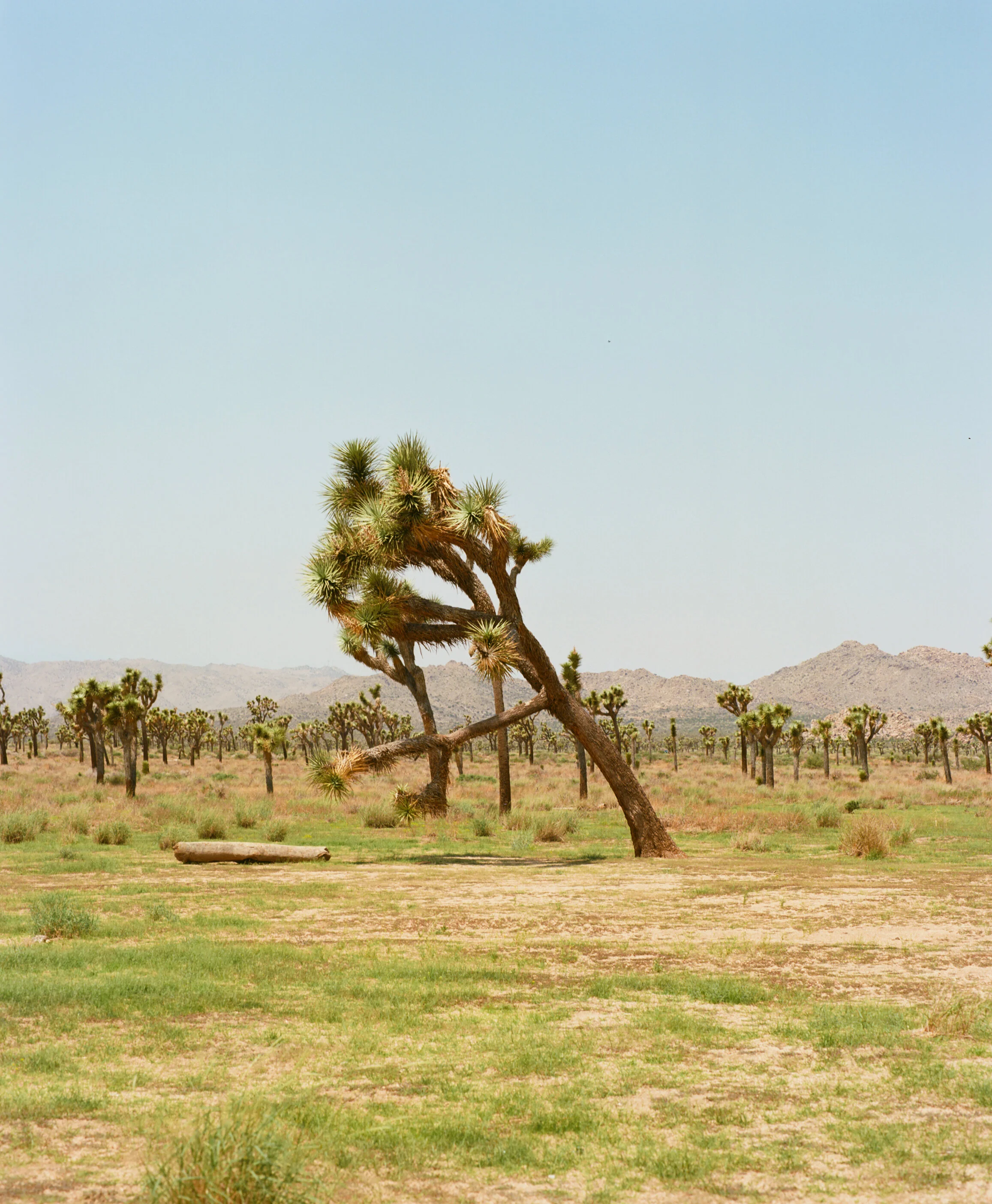 32442_TAB_006_01.jpg