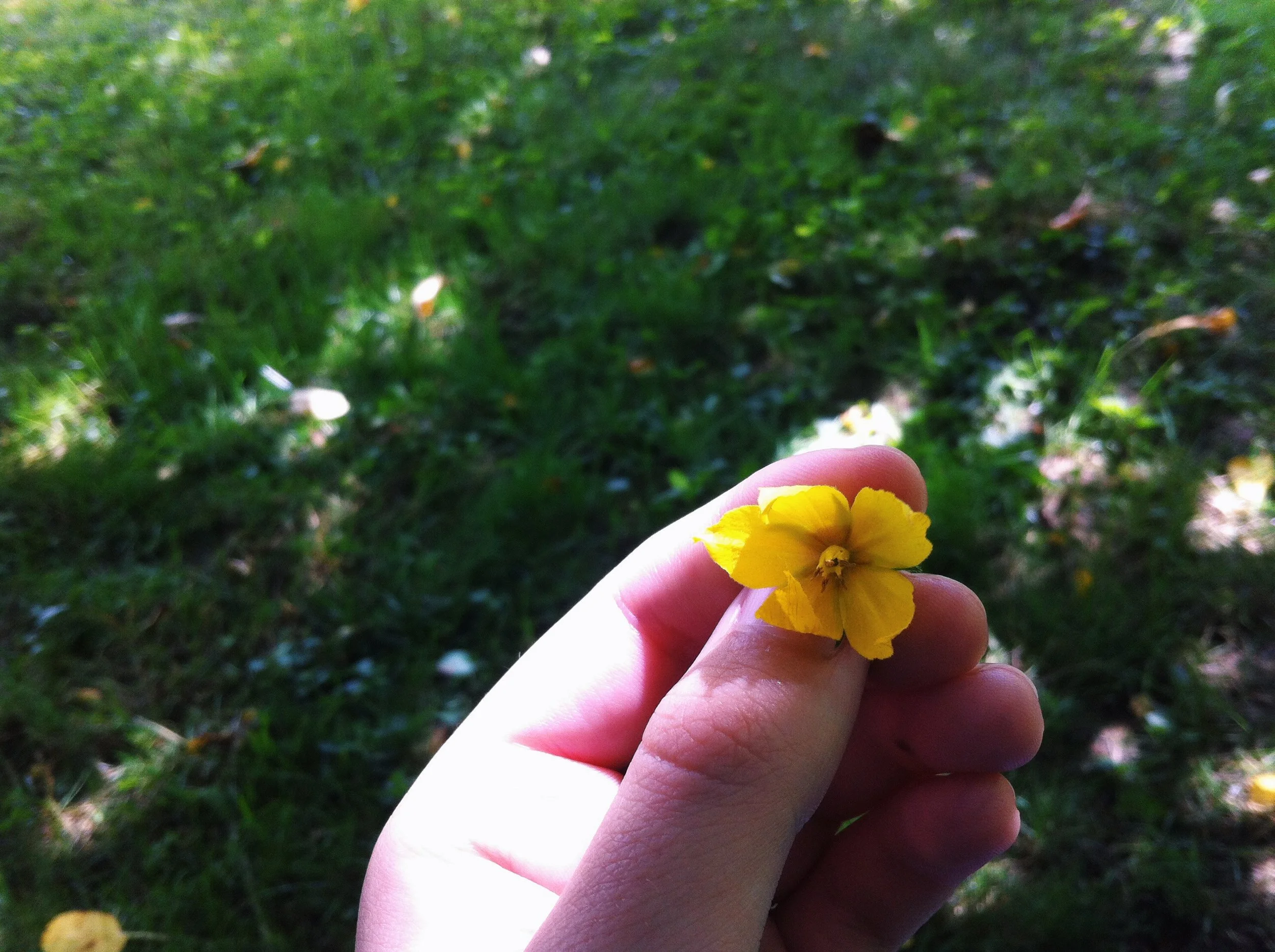 the story of her strength