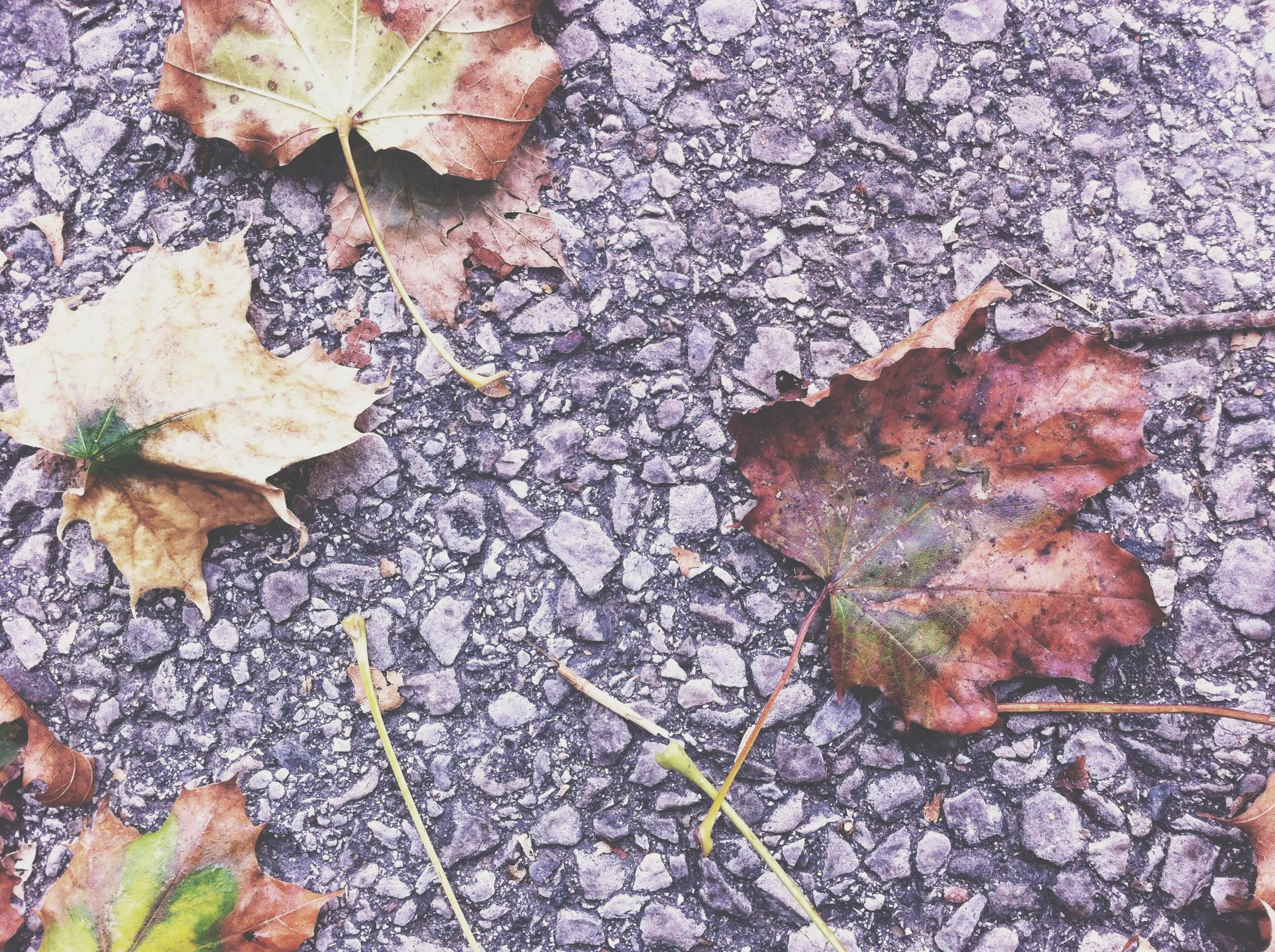 day two: rest in this 