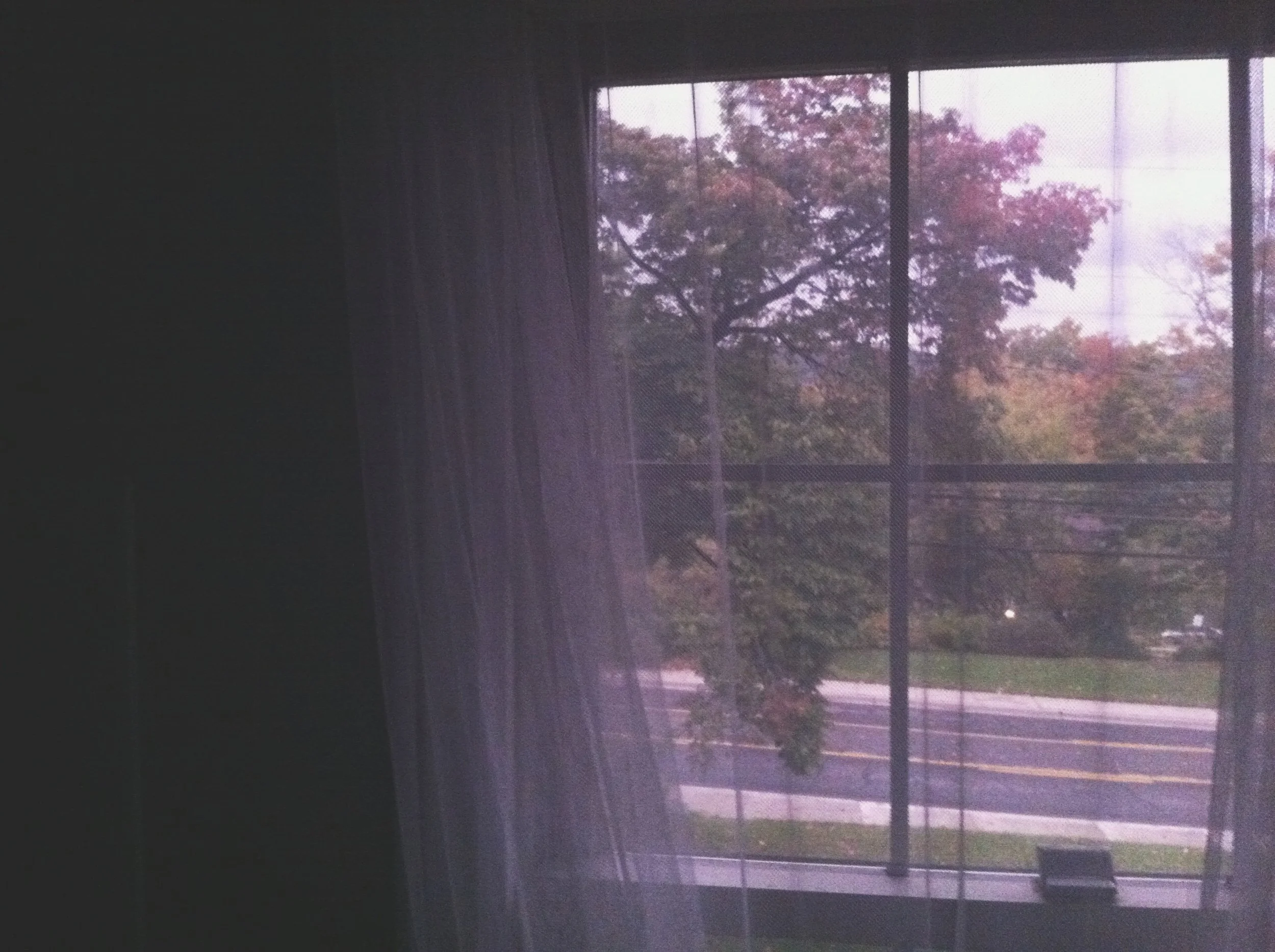 day eight: for when your face burns red