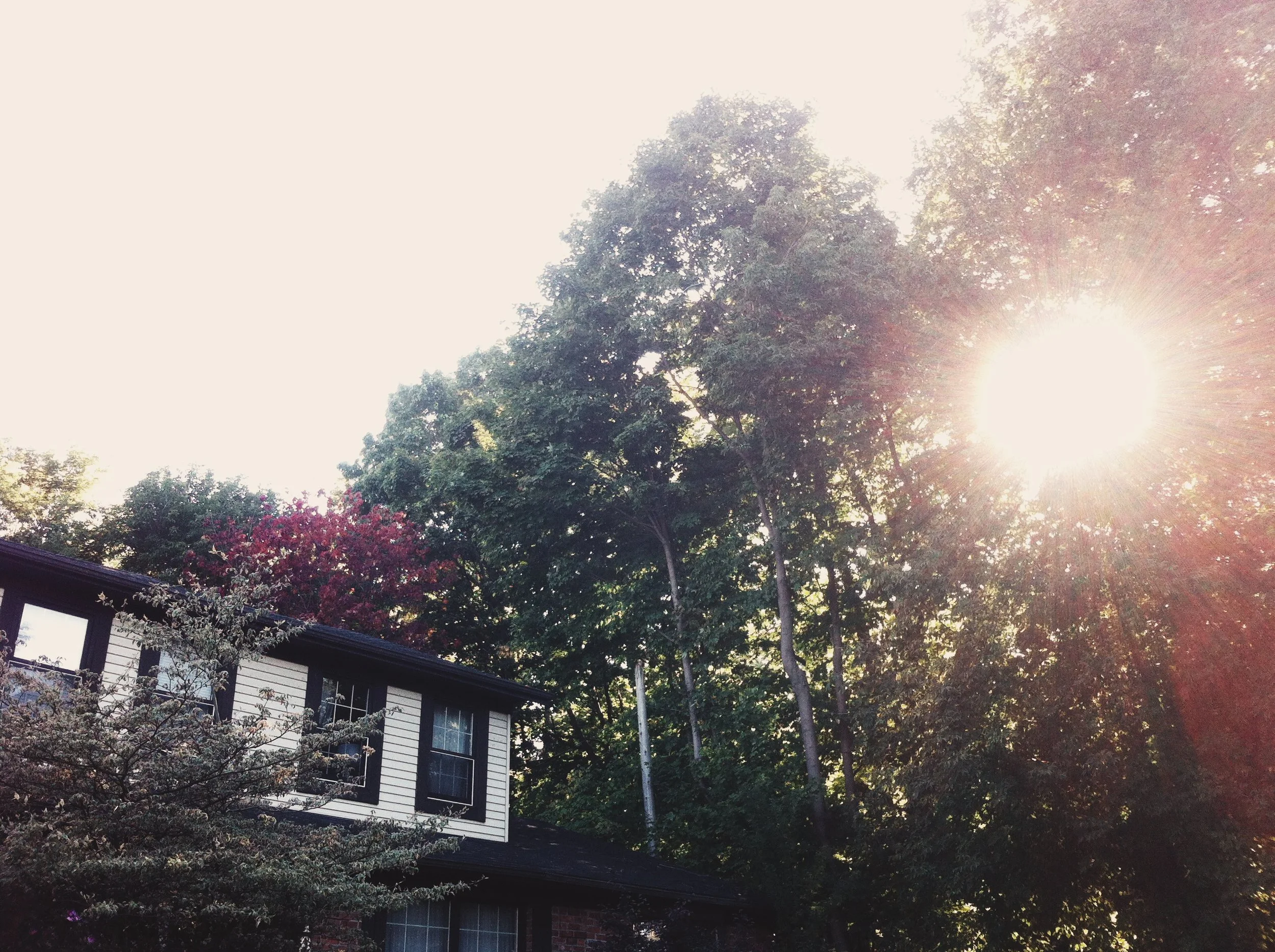 day six: a prayer for a weary monday