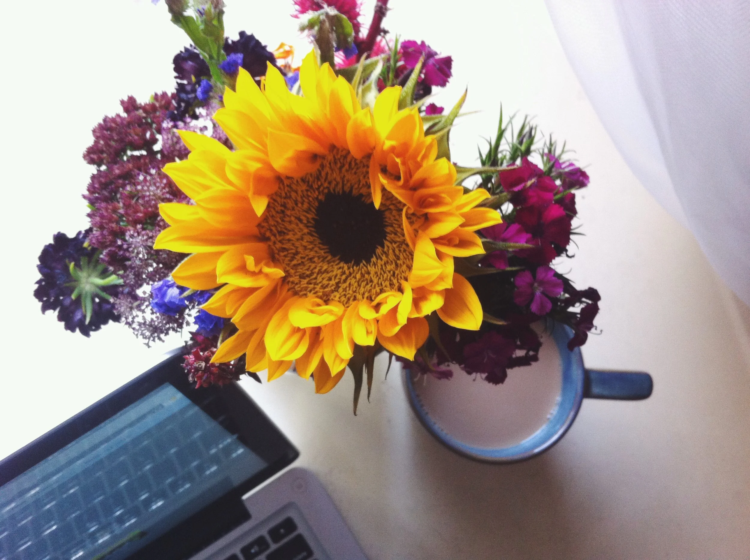 if your dreams don't scare you, who cares?