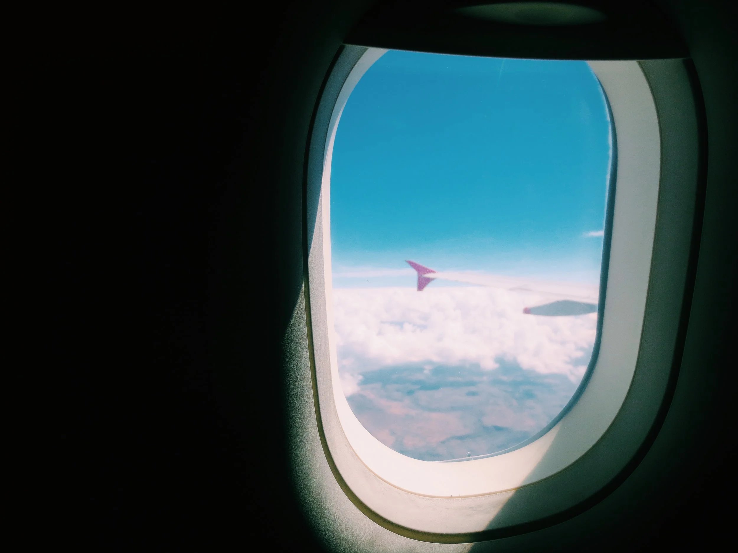 What it looks like to bravely follow Jesus