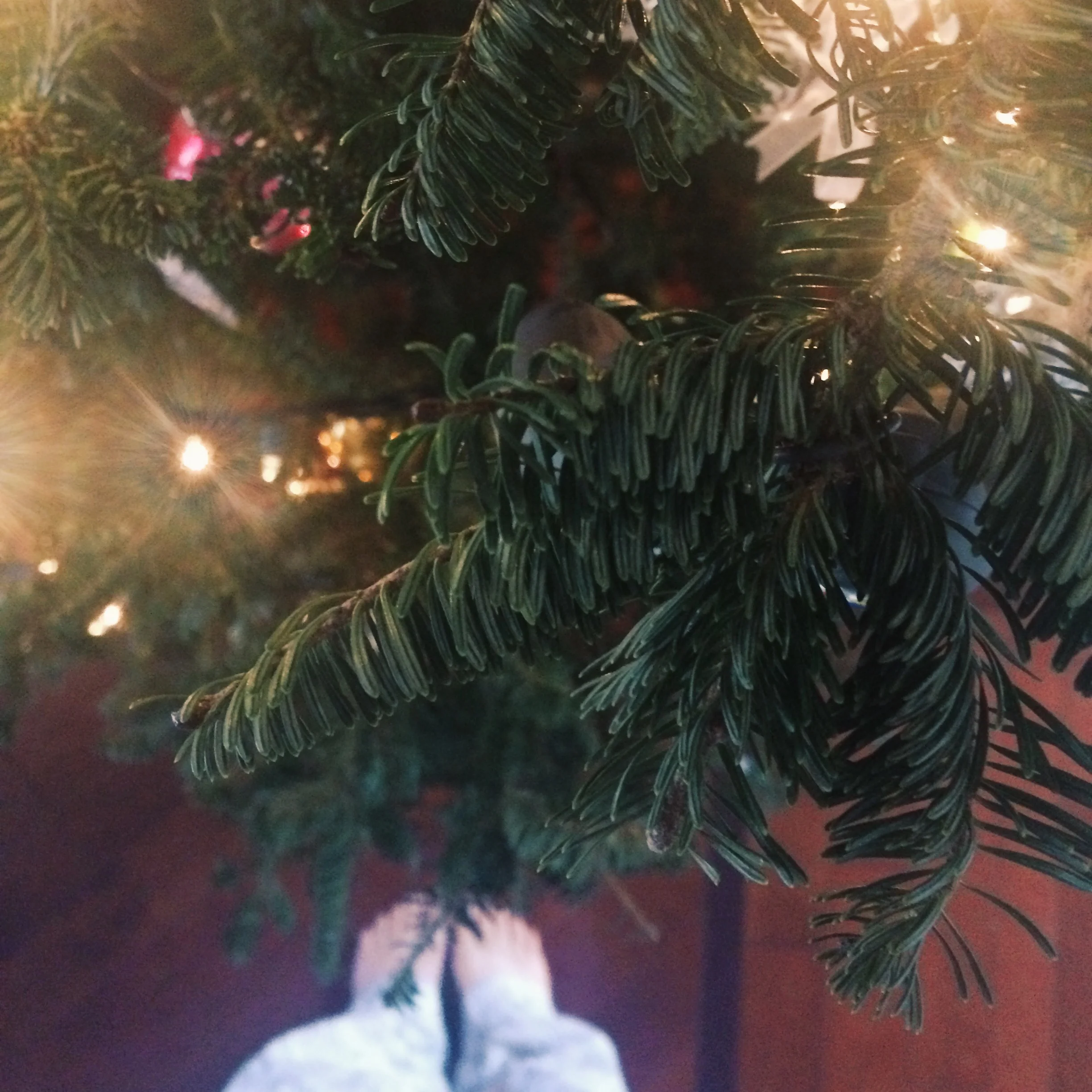 On the week of Christmas