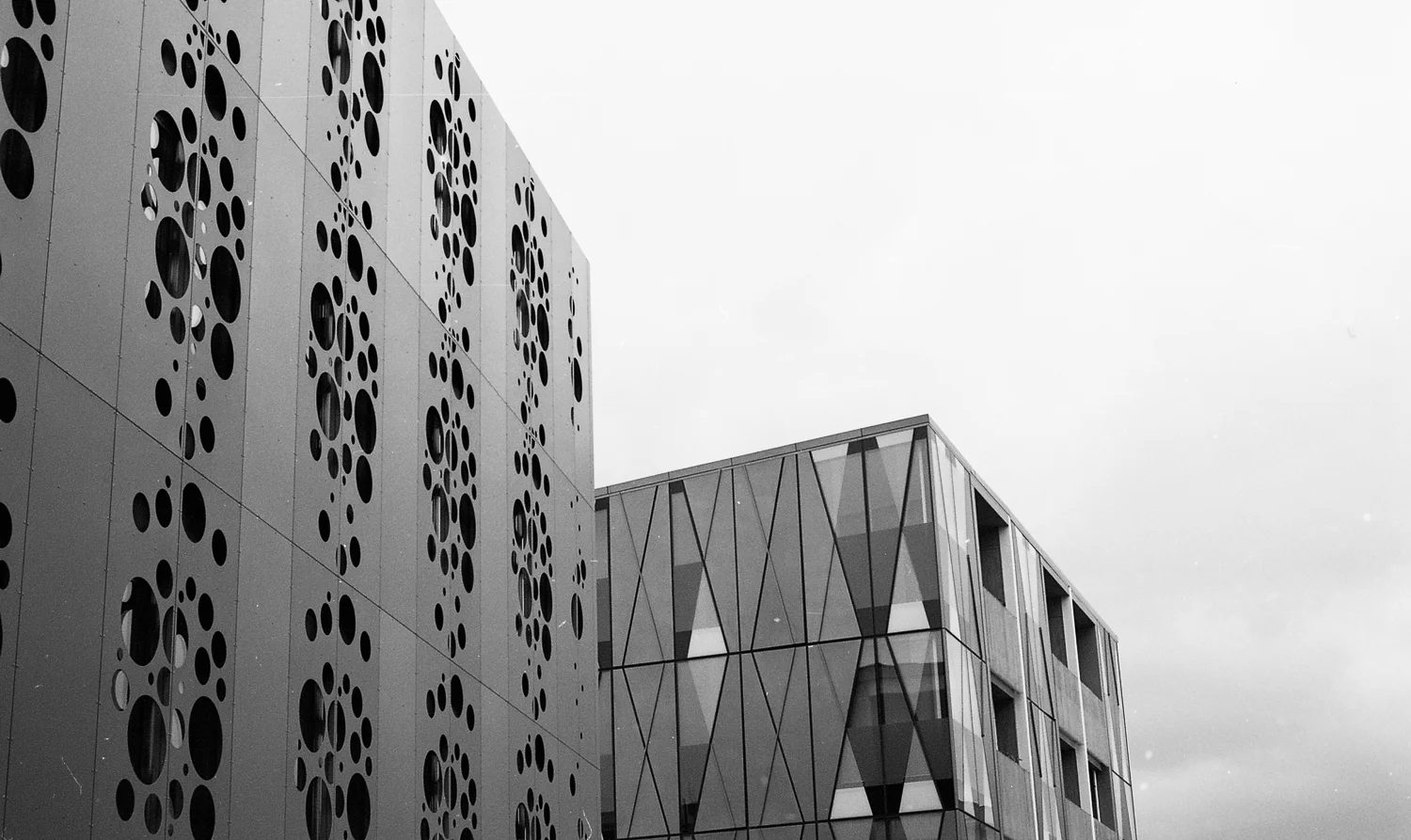 Graphite Imaging x The Charlotte Alexander-16.jpg