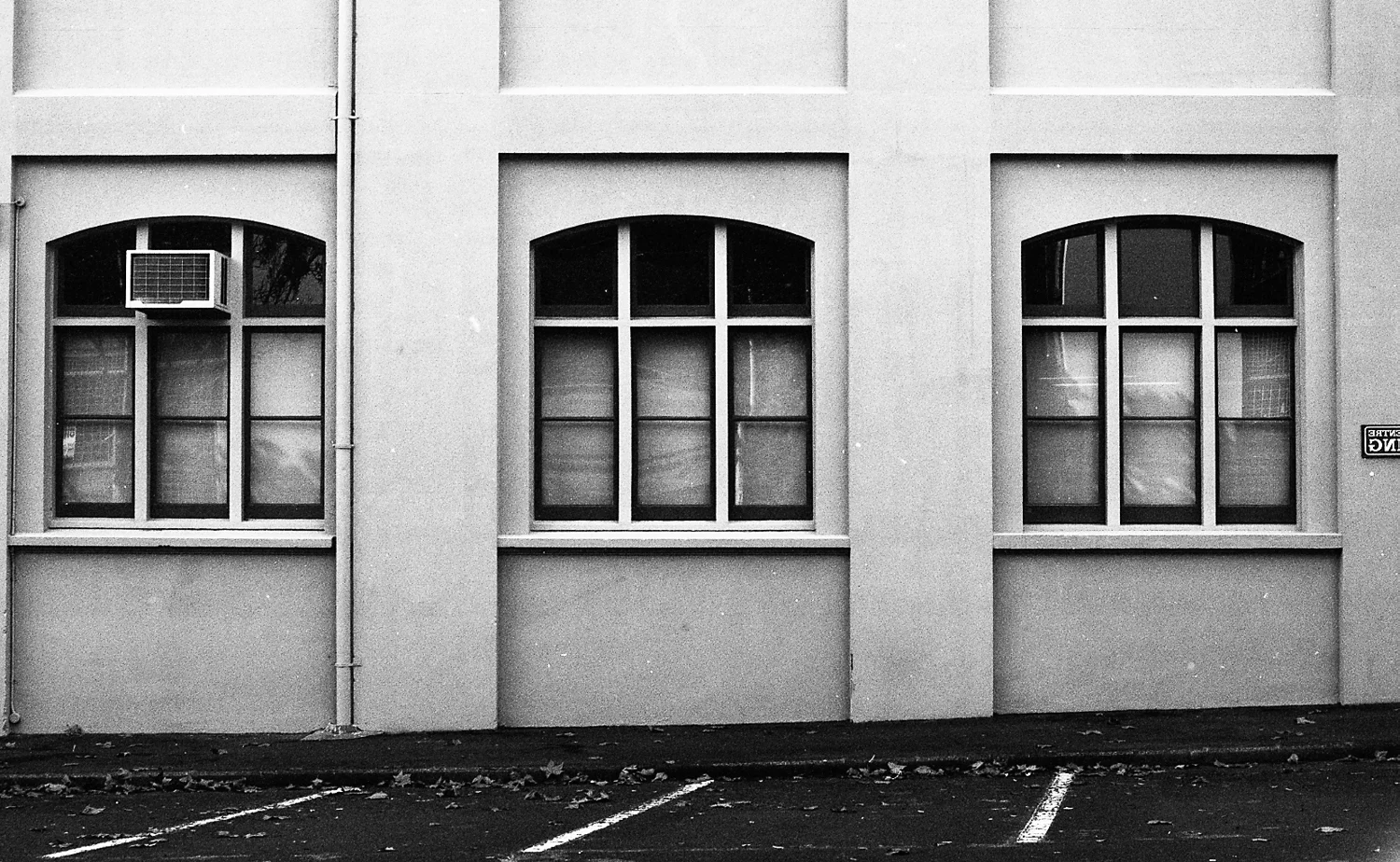 Graphite Imaging x The Charlotte Alexander-1.jpg