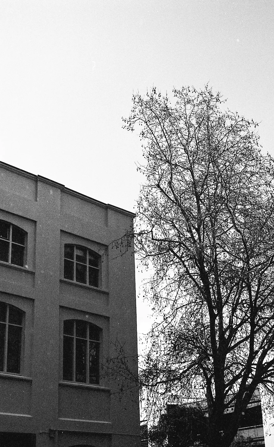 Graphite Imaging x The Charlotte Alexander-2.jpg