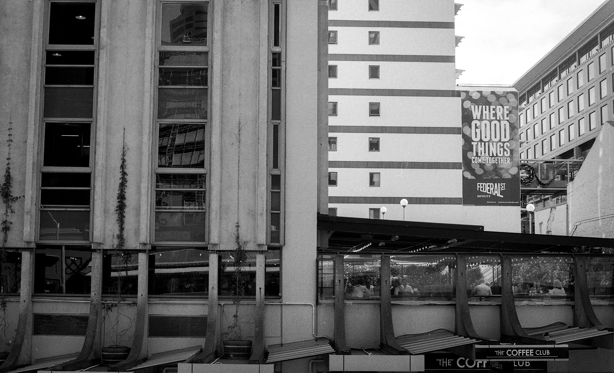 The Charlotte Alexander x Graphite Imaging-23.jpg