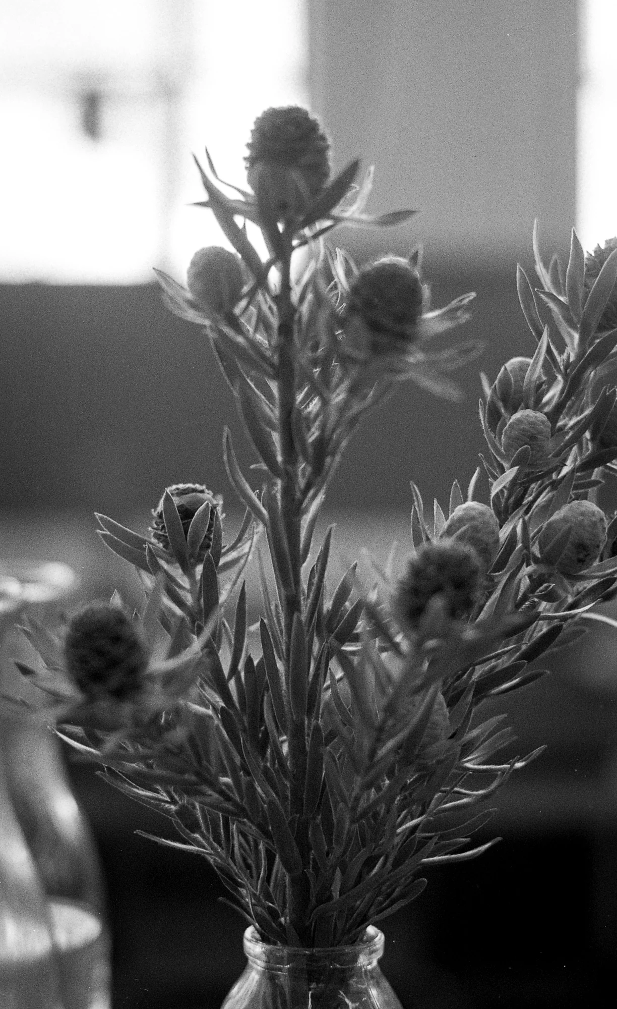 The Charlotte Alexander x Graphite Imaging-28.jpg