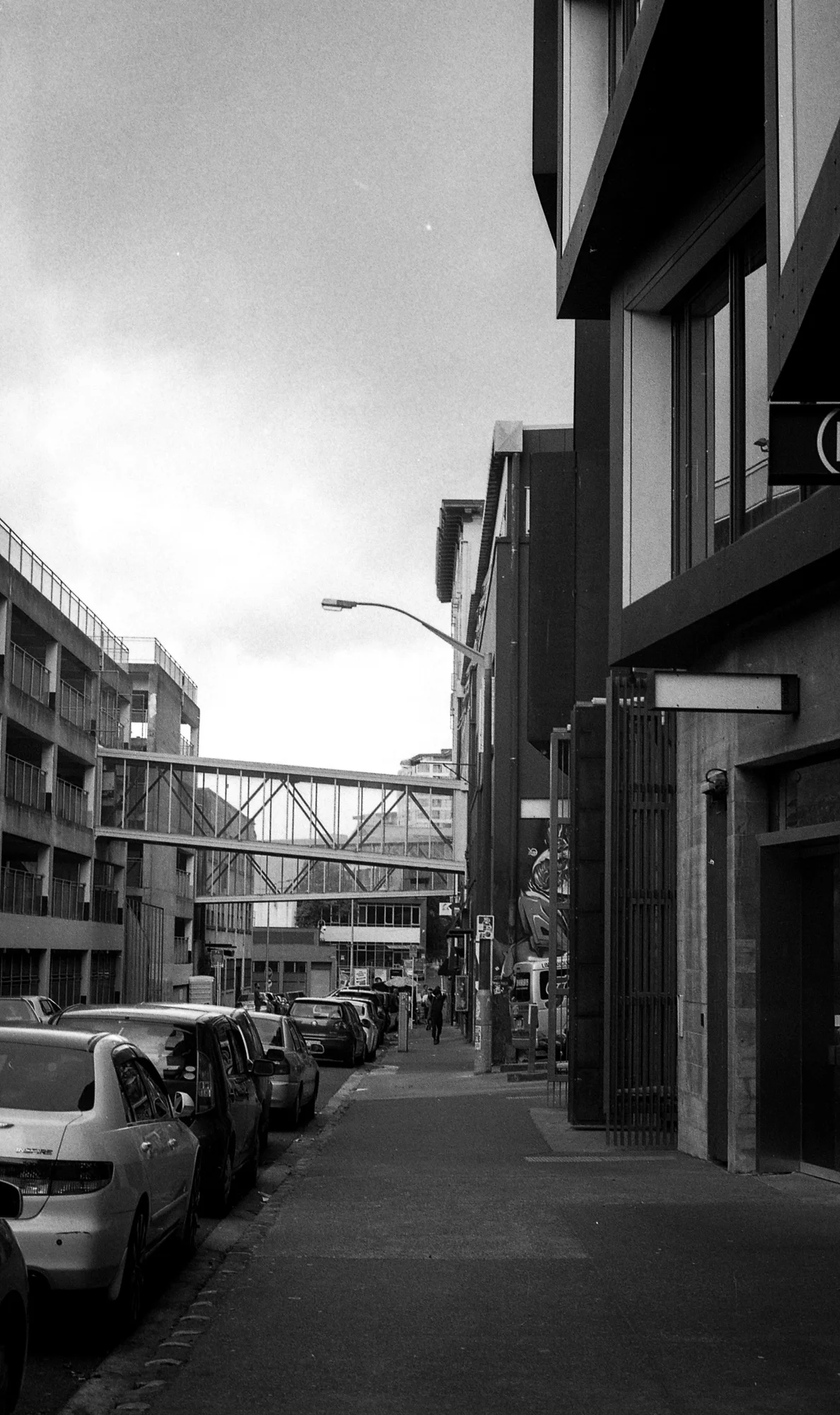 The Charlotte Alexander x Graphite Imaging-21.jpg