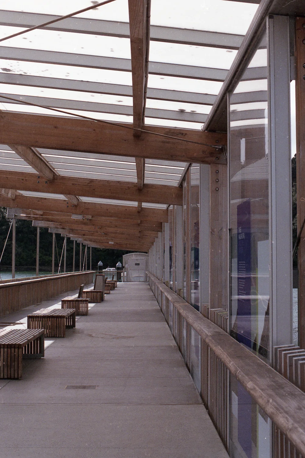 Roll 6 - Superia 400 July18 (17 of 28).jpg