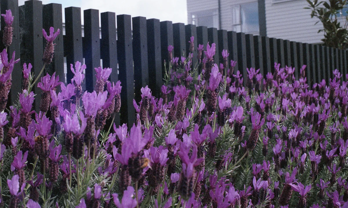 - Low Res (18 of 20).jpg