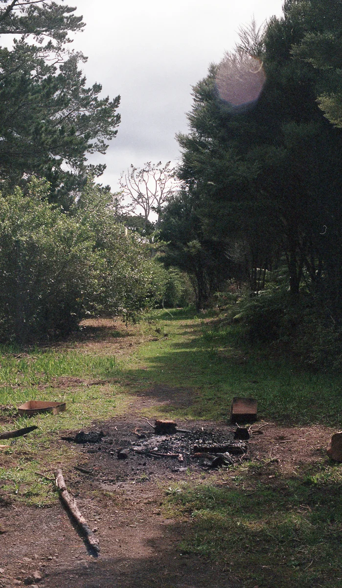 - Low Res (6 of 20).jpg