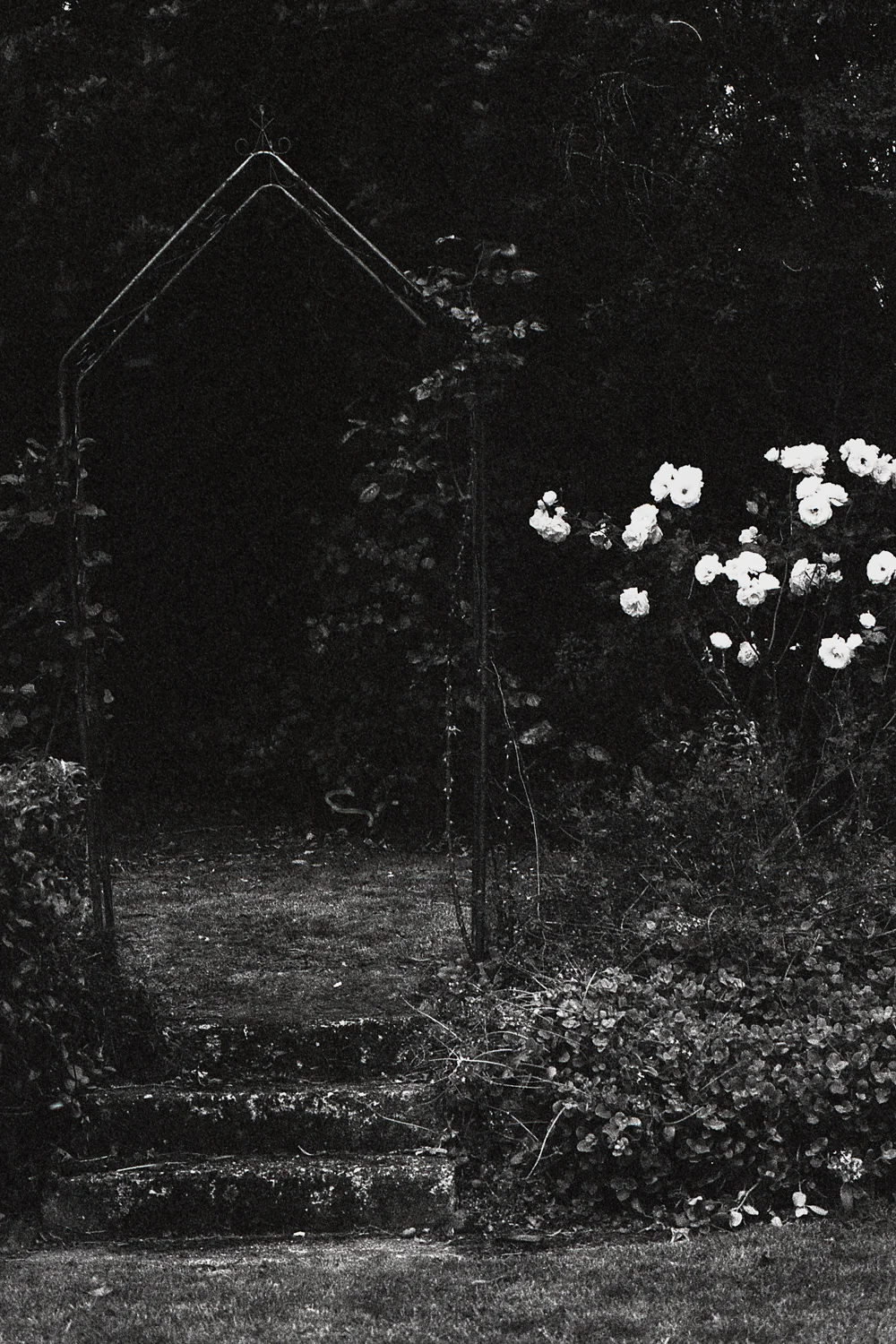 Tmax Charlotte Turner (8 of 35).jpg