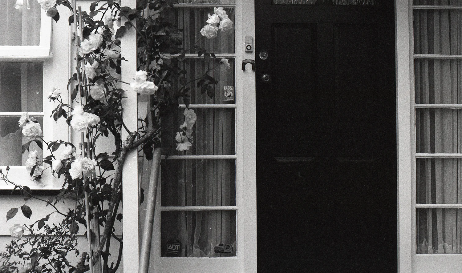 Tmax Charlotte Turner (3 of 35).jpg